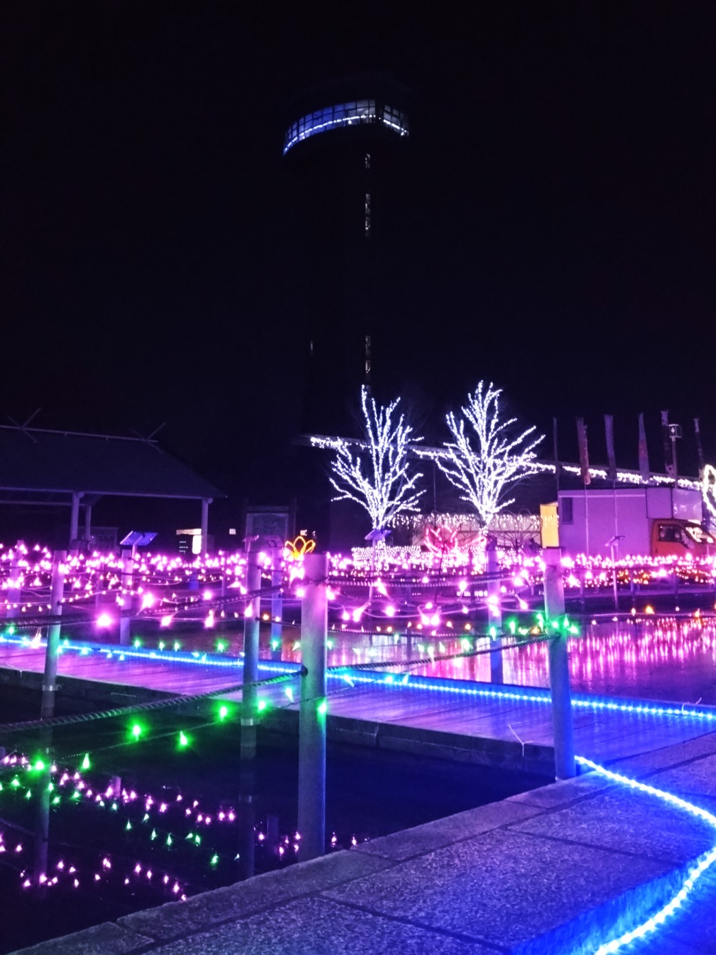 古代蓮の里のイルミネーション⑧