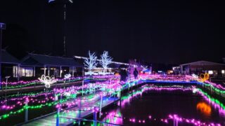 古代蓮の里のイルミネーション⑨