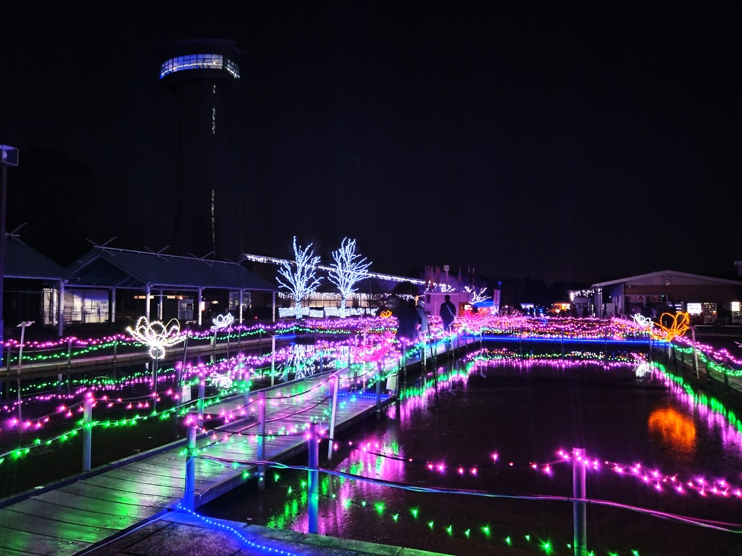 古代蓮の里のイルミネーション⑨