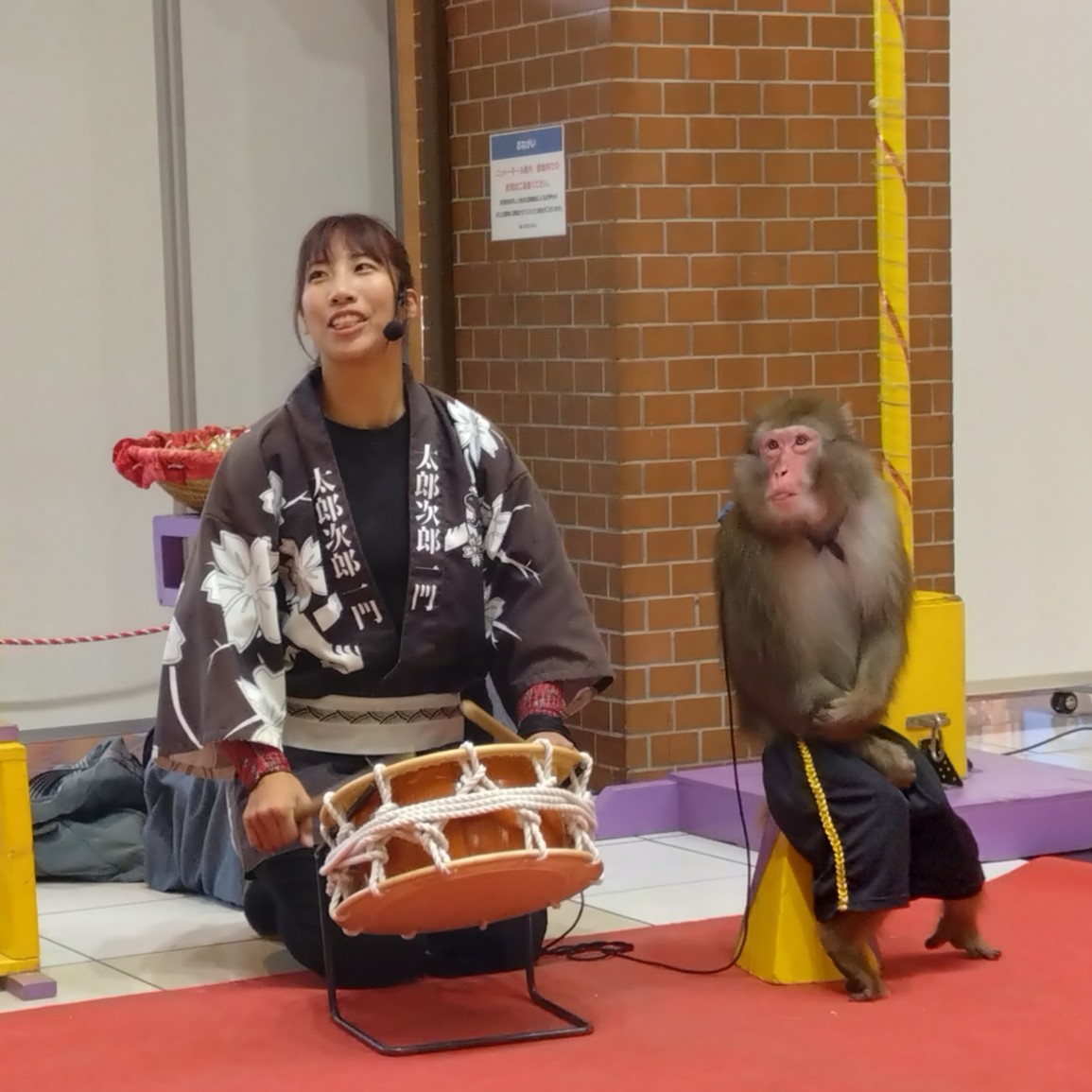 さる回しショー