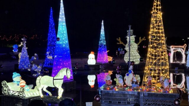 冬らしいイルミネーション