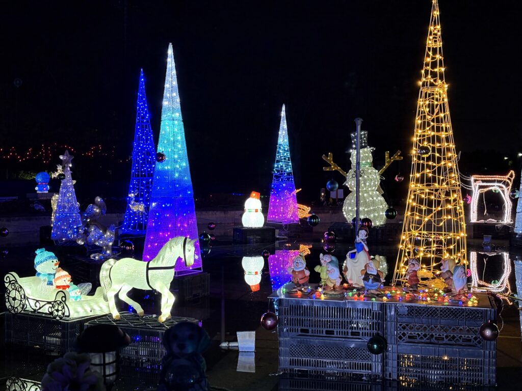 冬らしいイルミネーション