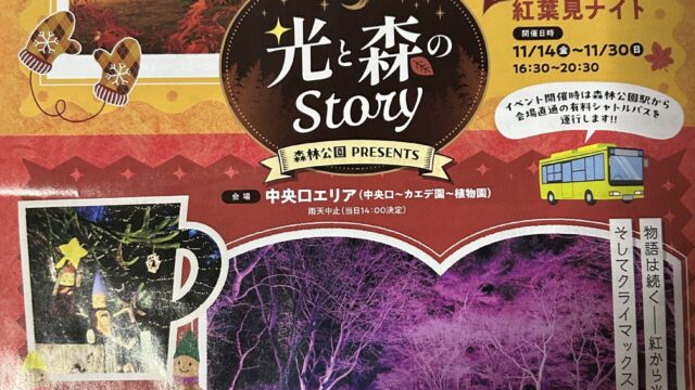 スターライトイルミネーションのチラシ