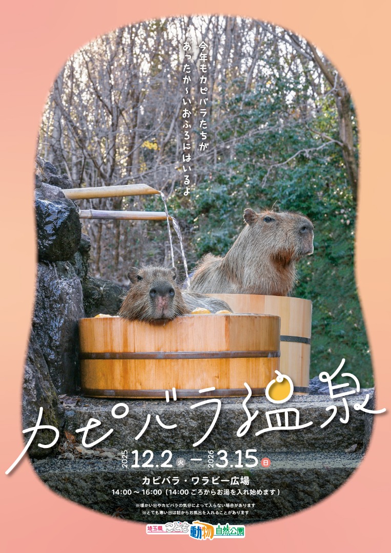 カピバラ温泉のチラシ