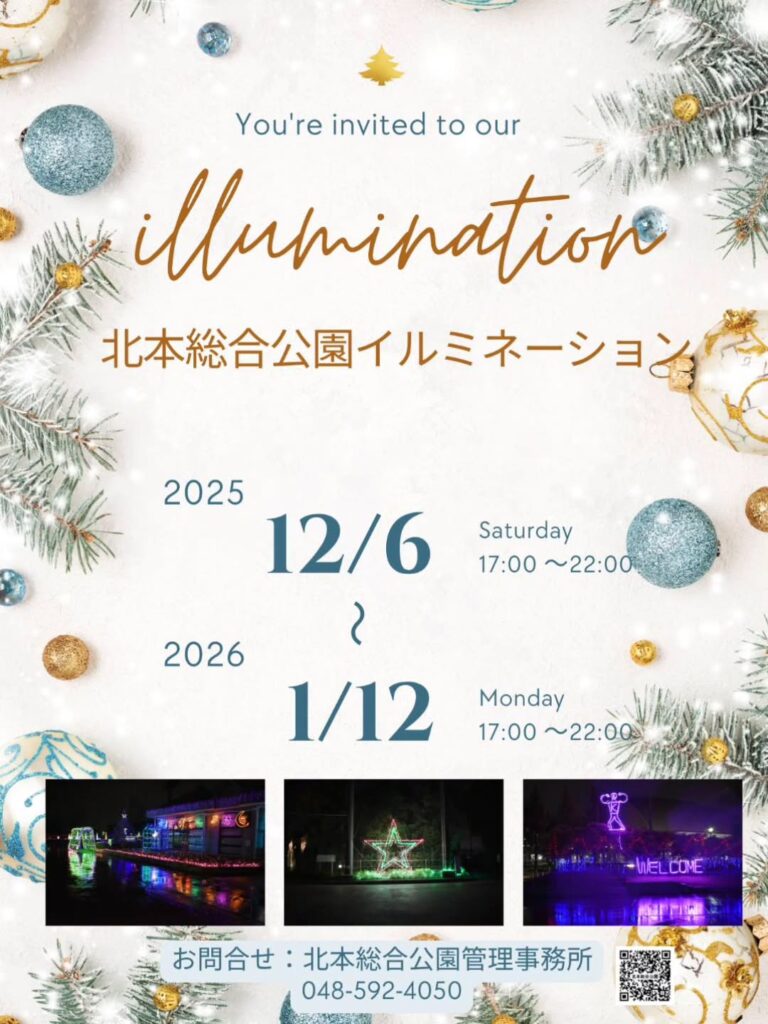 北本総合公園イルミネーションのチラシ