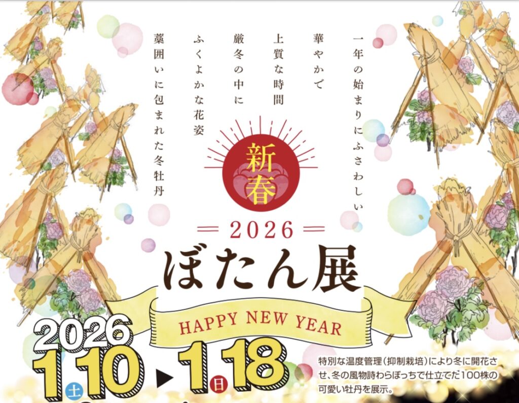 ボタン園のライトアップチラシ