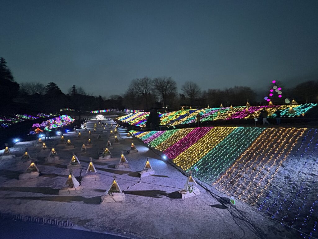 イルミネーションの様子