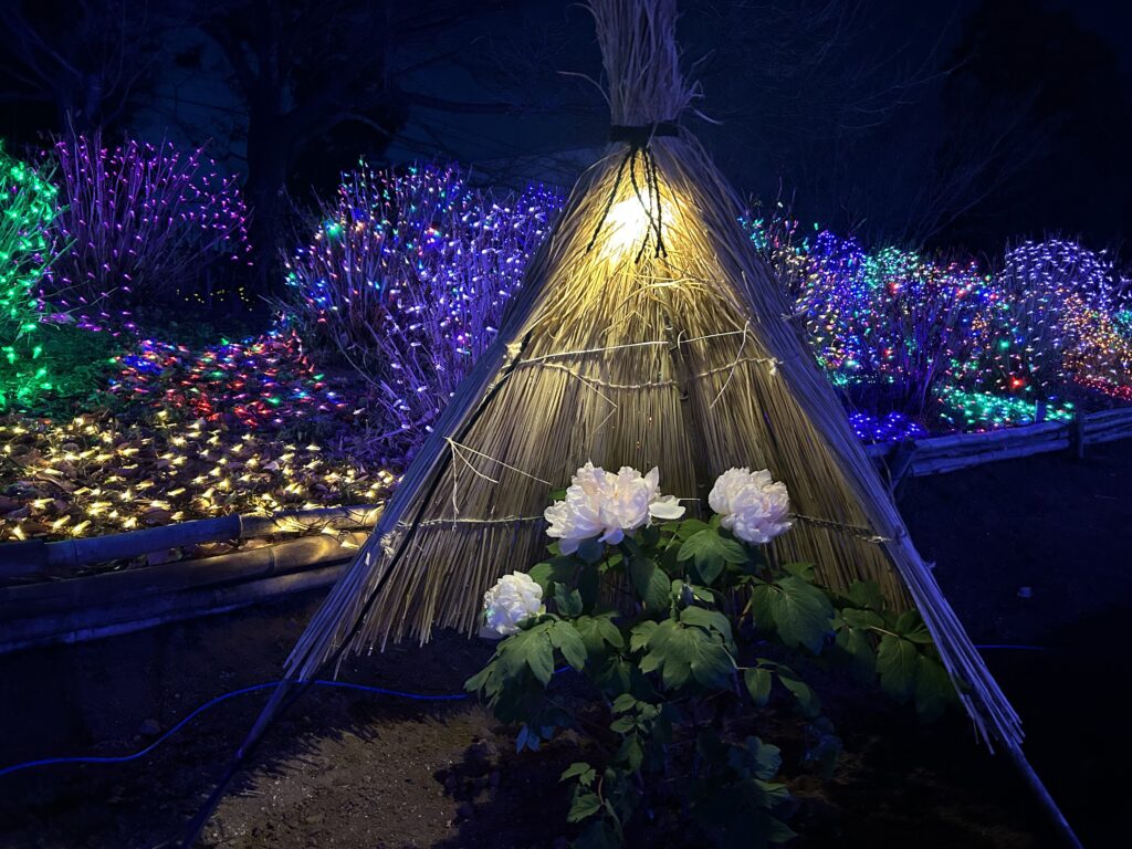 ボタンとライトアップ