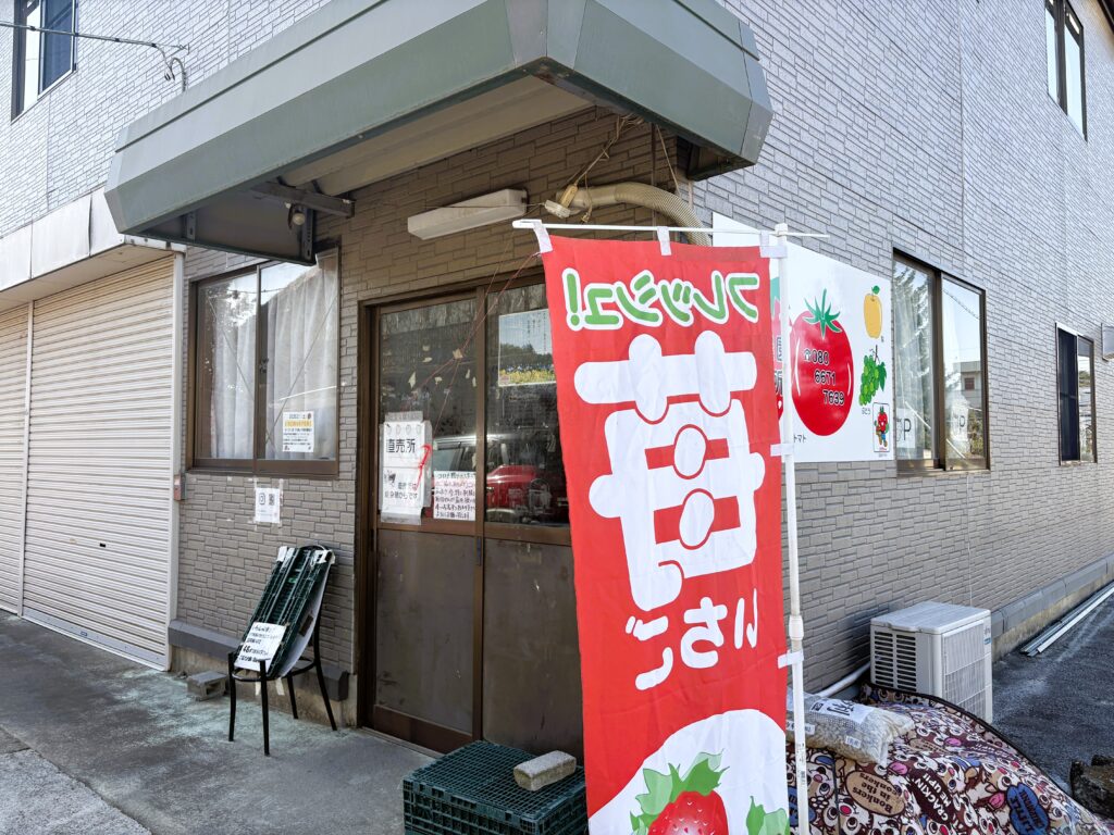 横山農園でいちご狩り、週末に行こう