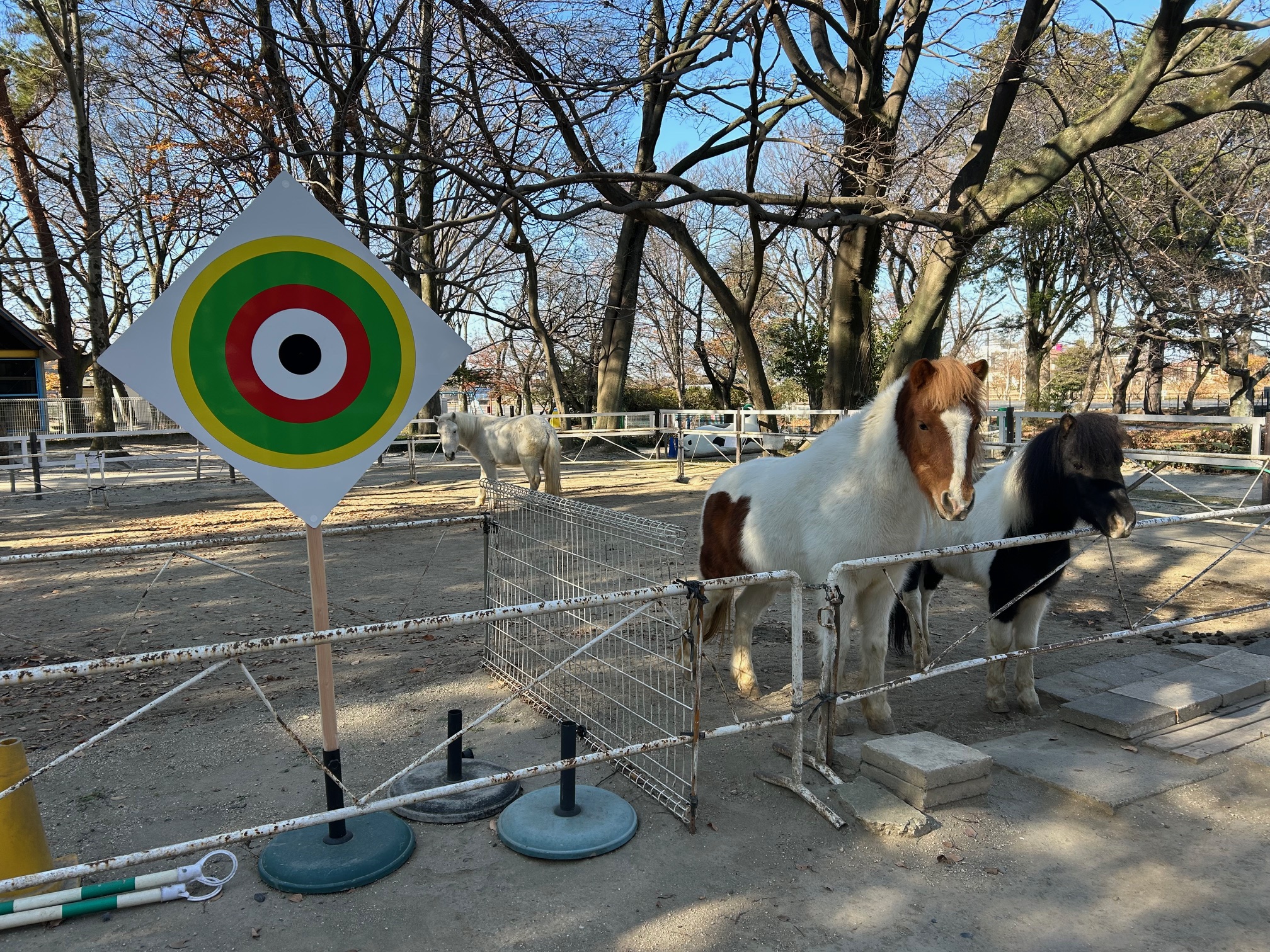 やぶさめの様子