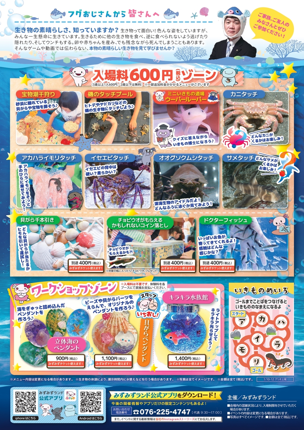 あそべ～る水族館のチラシ裏