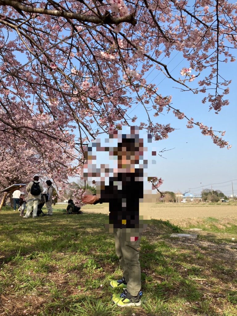 桜の写真②