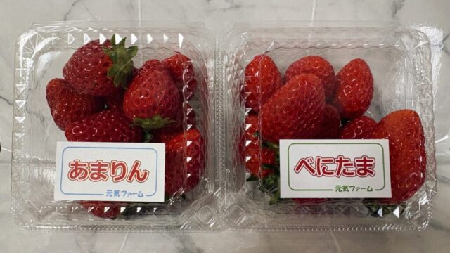 購入したイチゴ