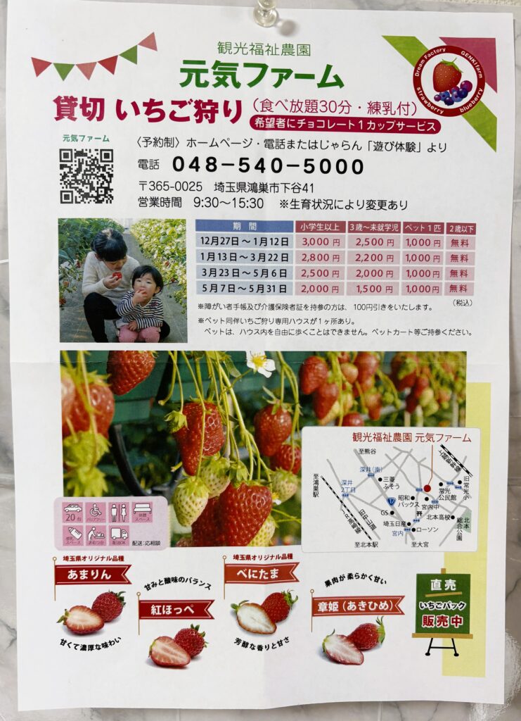 いちご狩りのチラシ