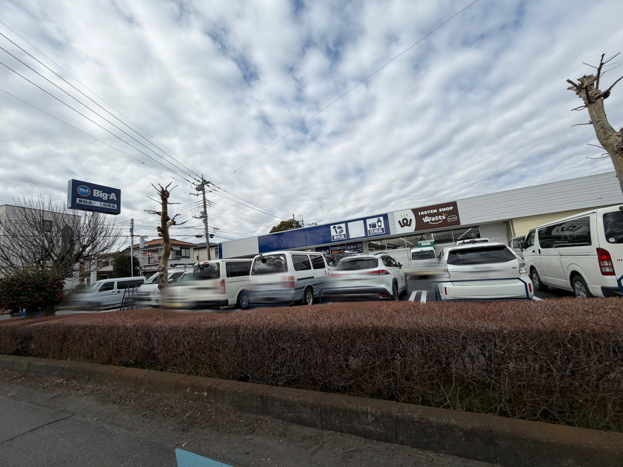 ビッグ・エー上尾井戸木店の外観