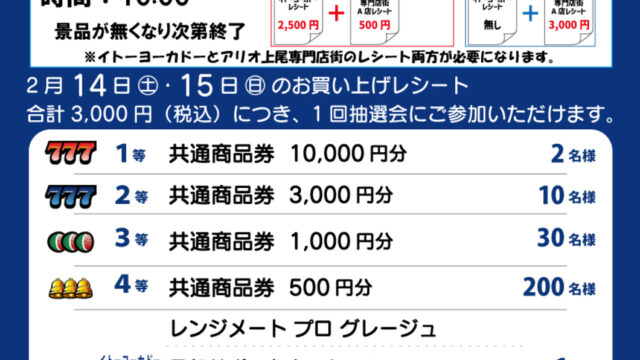 アリオの日大抽選会のチラシ
