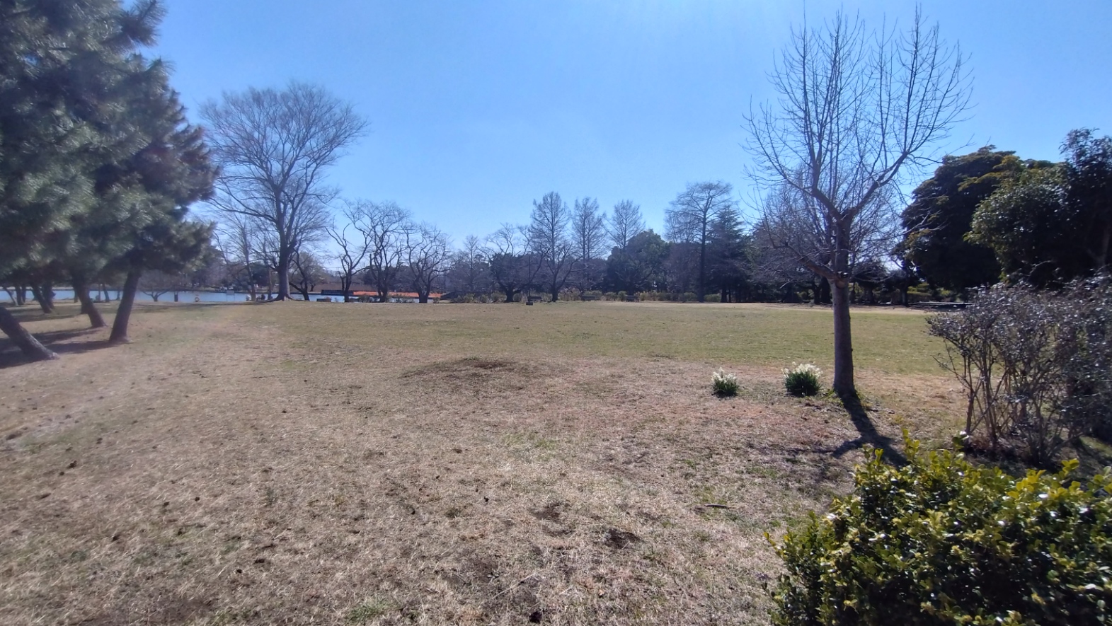 行田春まつり2026の会場になる場所