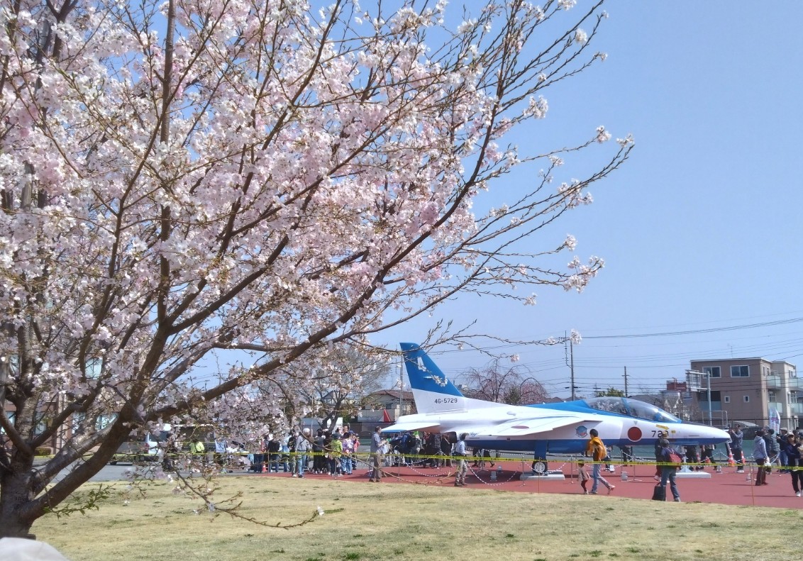 桜とブルーインパルス