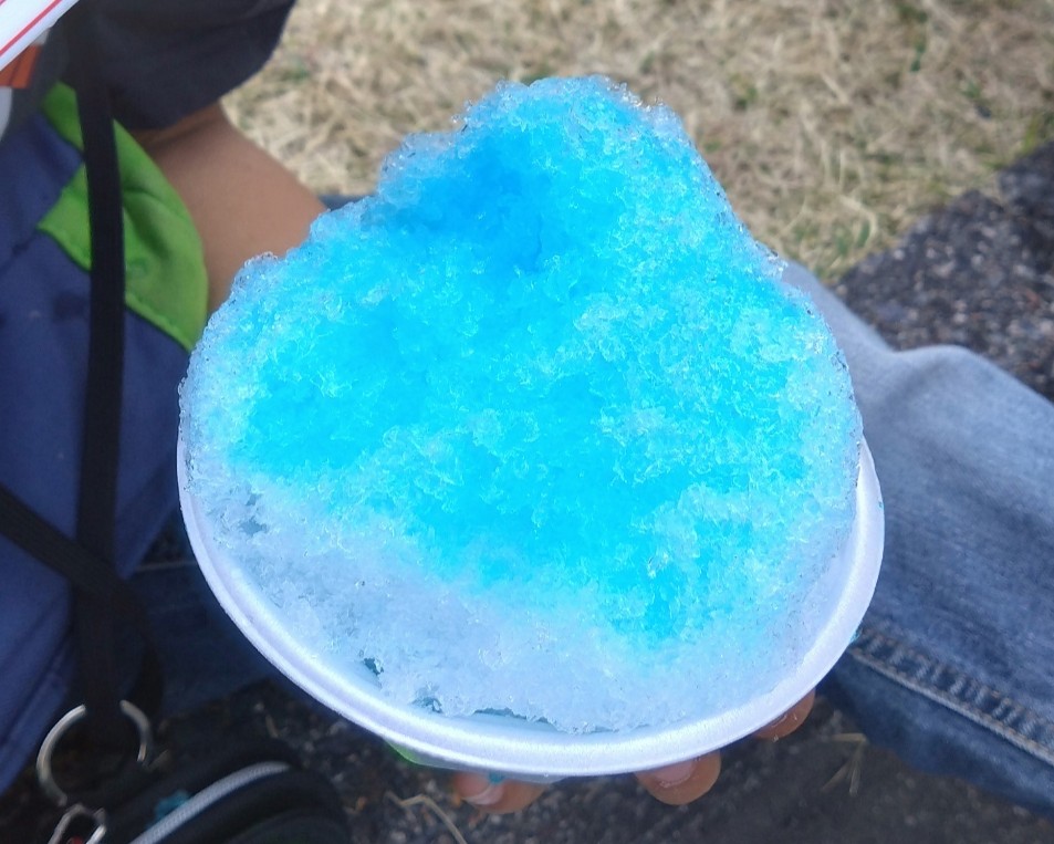 購入したかき氷