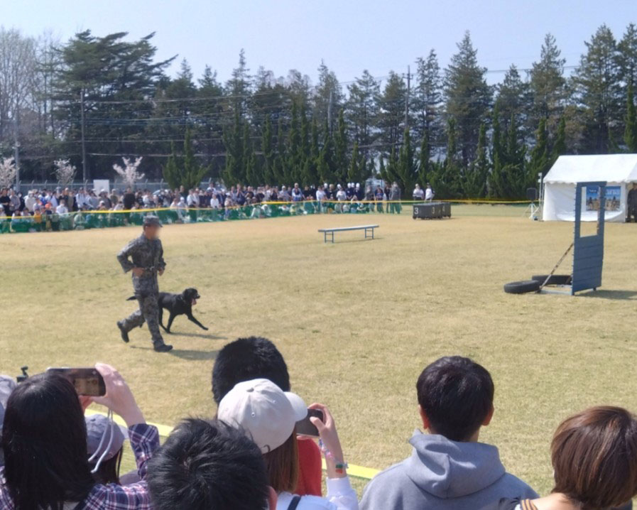 警備犬・警察犬の訓練展示
