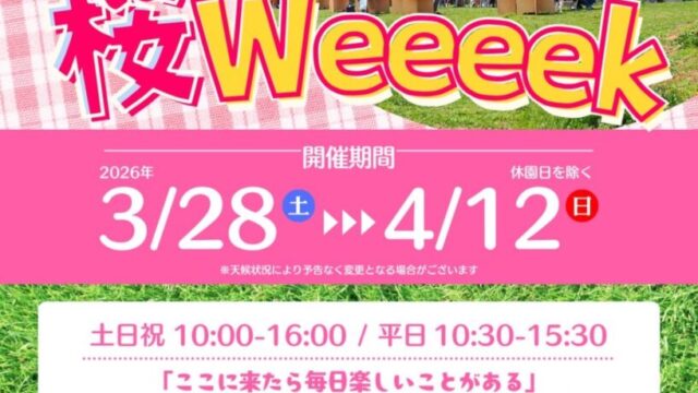 丘の上の桜Weeeek