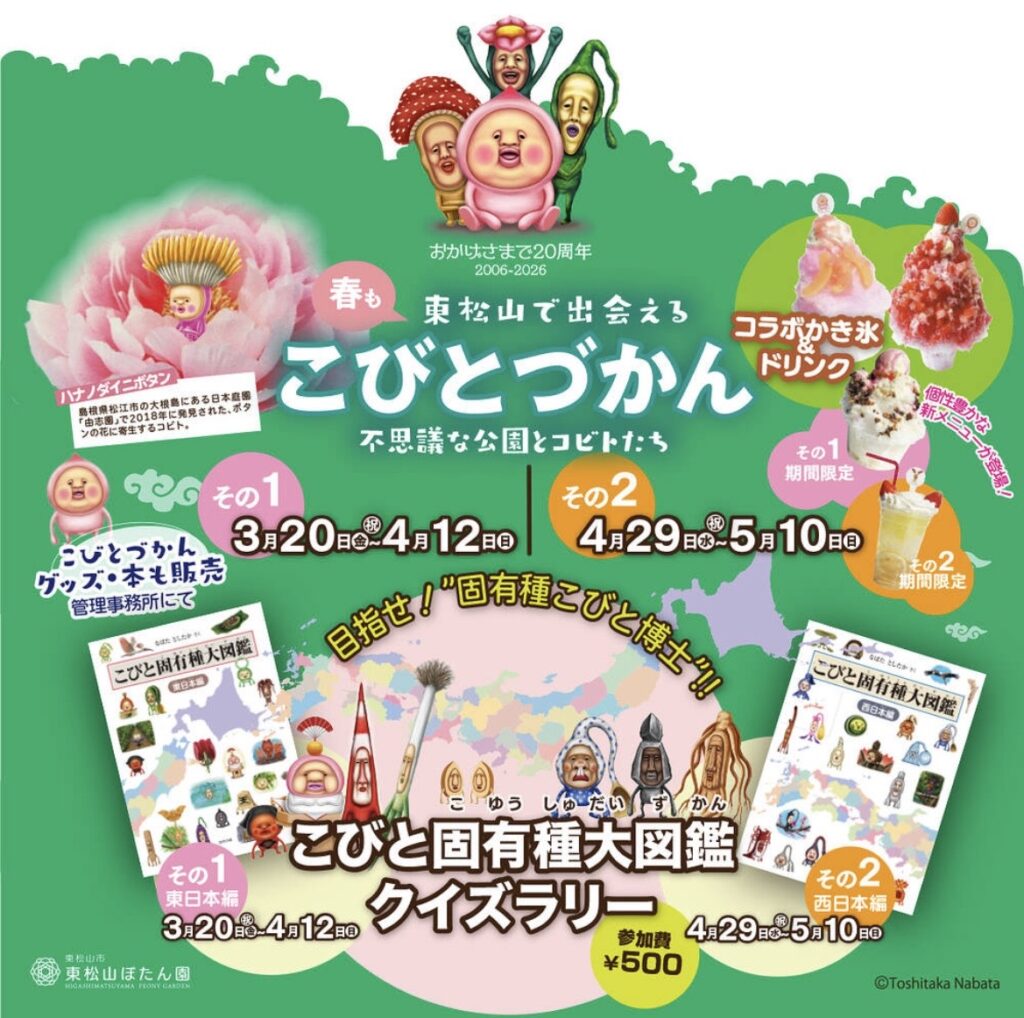 こぶとづかんのイベントチラシ