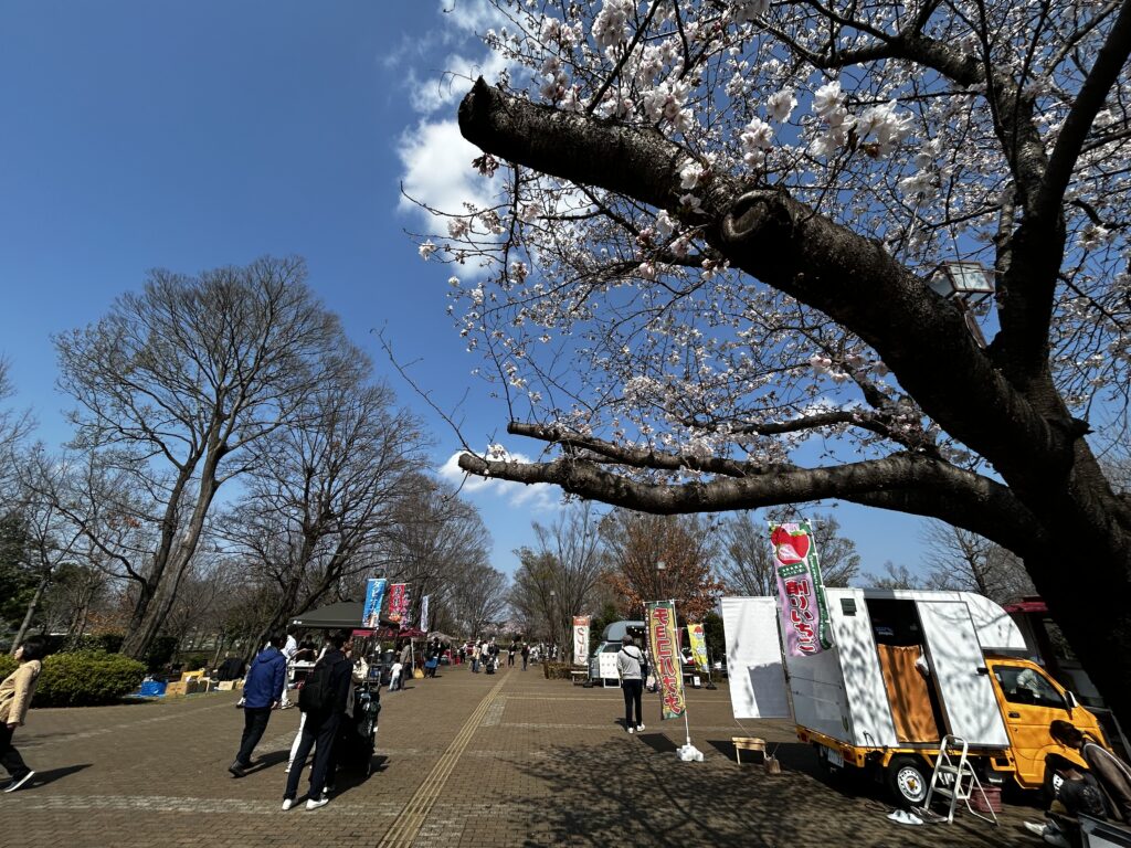 キッチンカーが出店している様子