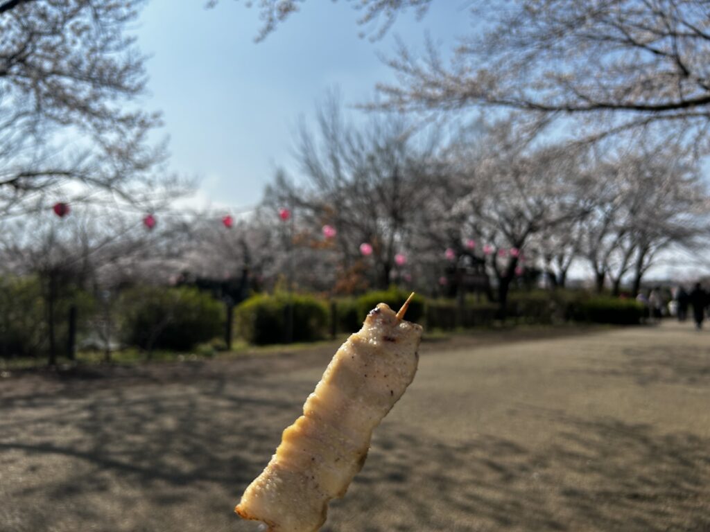 購入した焼き鳥