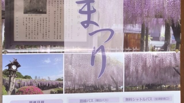 藤まつり