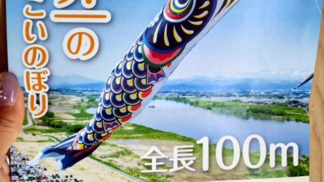 世界一のジャンボこいのぼり