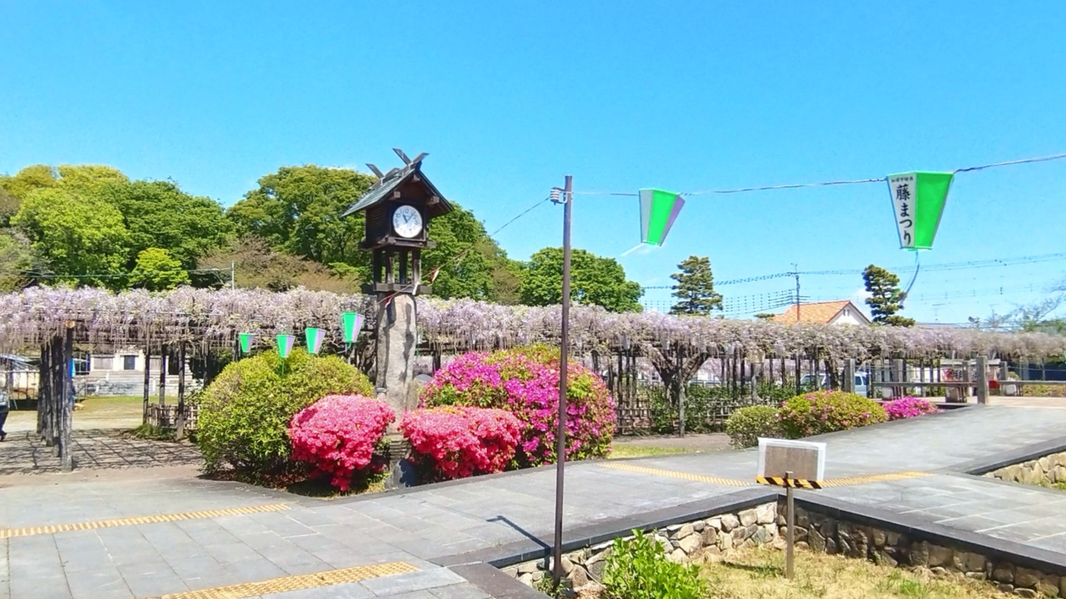 公園内