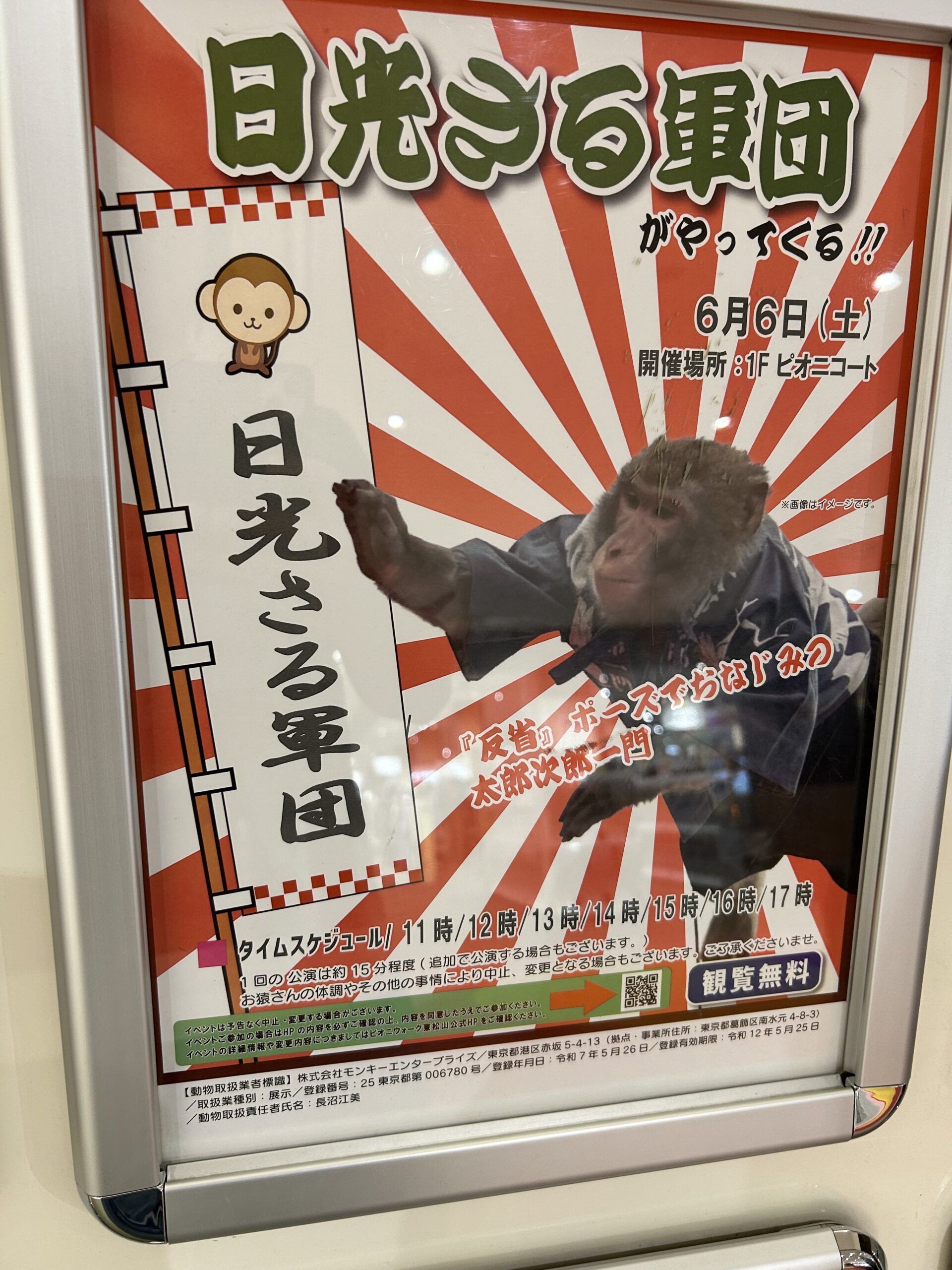 日光さる軍団がやって来る!!