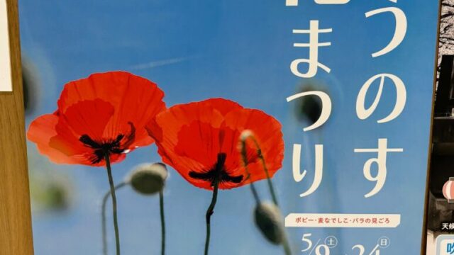 こうのす花まつりのチラシ