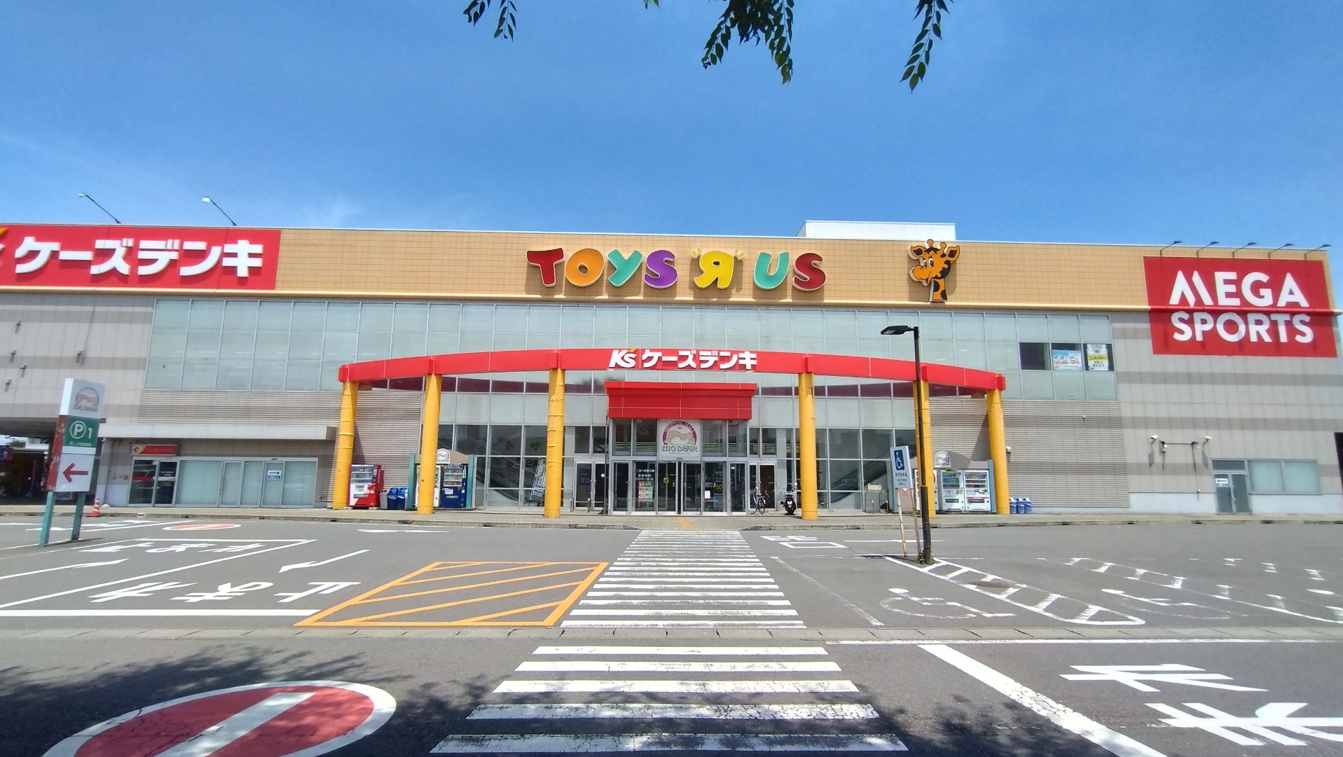 外観