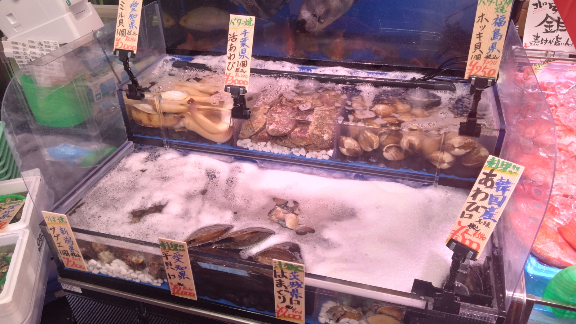 新鮮魚介類
