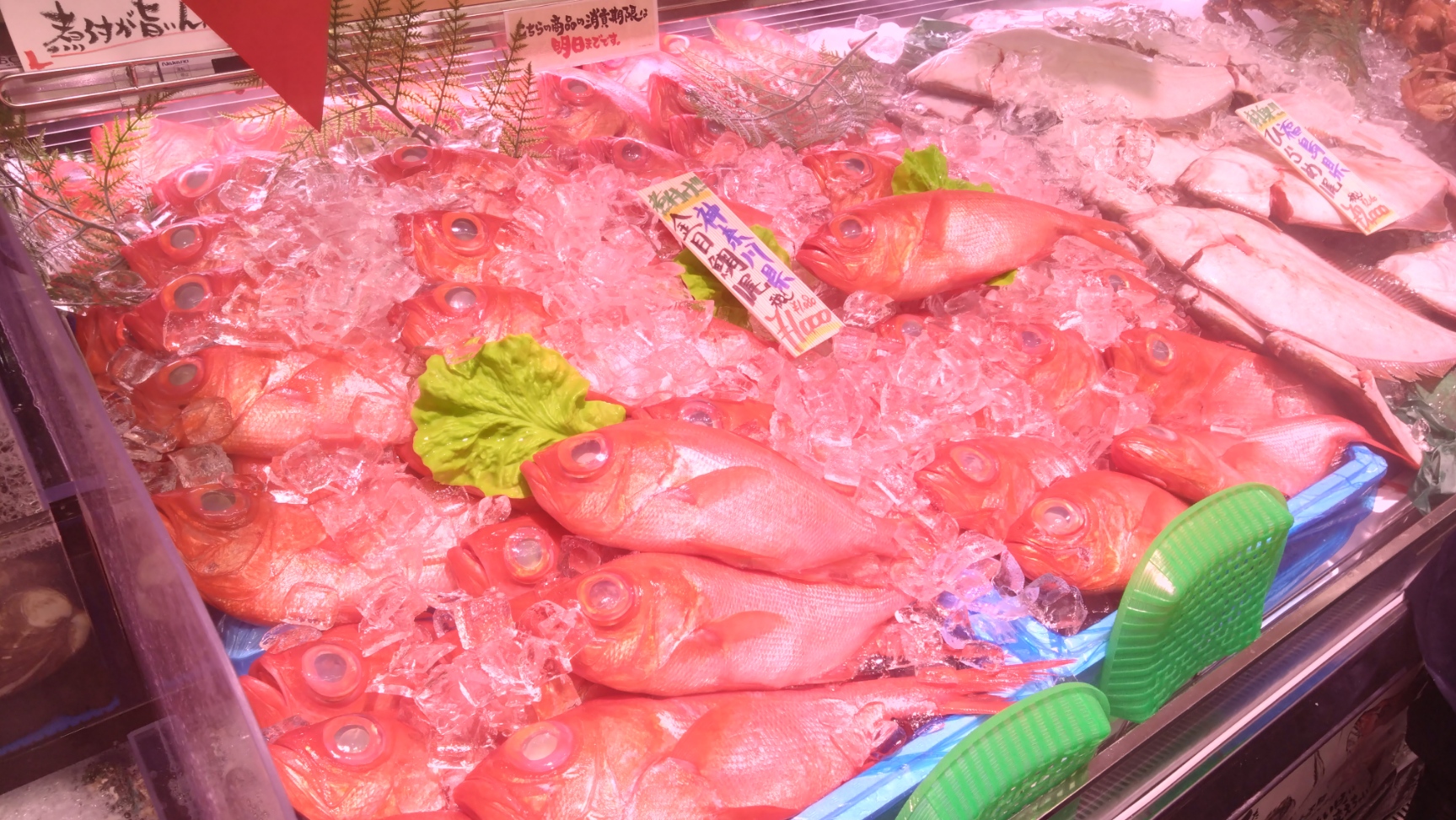 鮮魚コーナー②