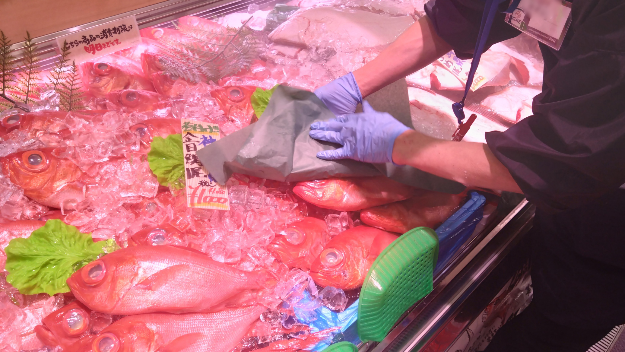 鮮魚