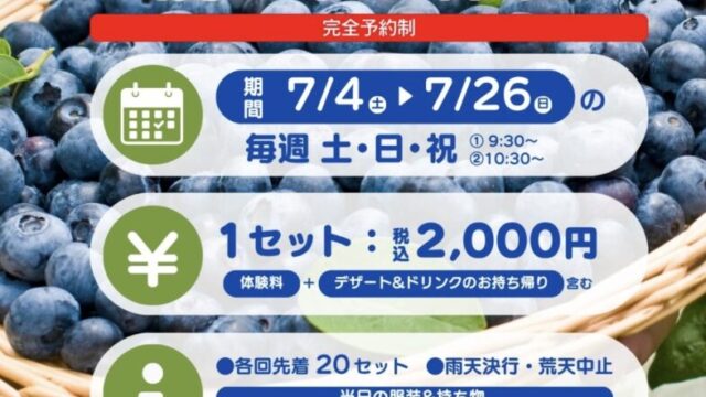 ブルーベリー摘み取りチラシ