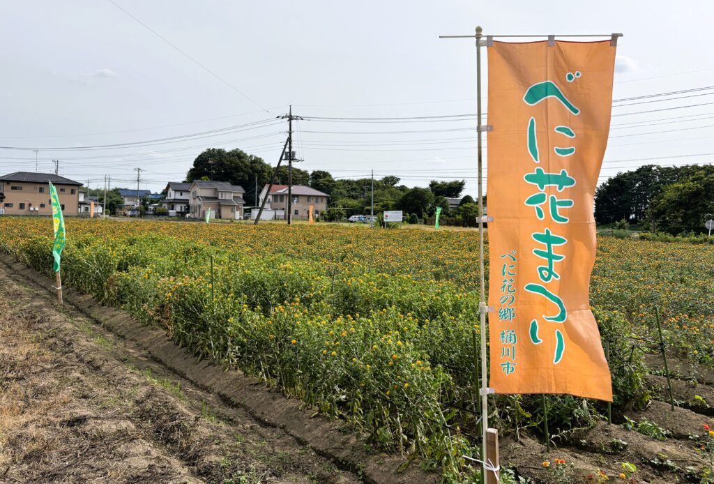 べに花畑