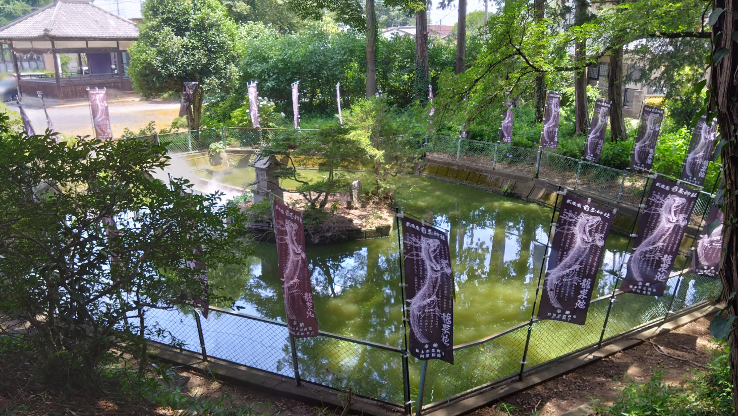 龍泉池(りゅうせんち)