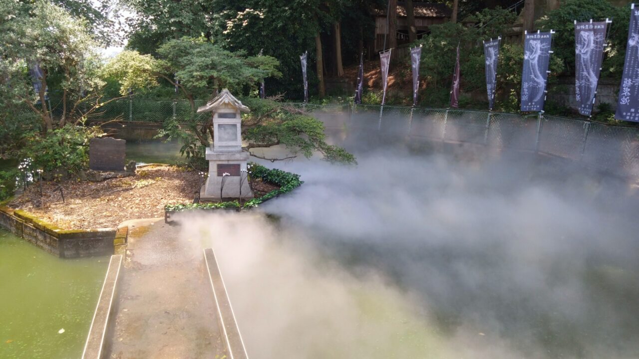 幻想的な雲海