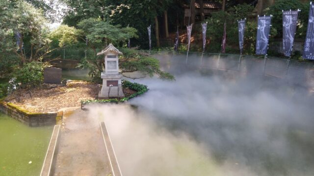 幻想的な雲海