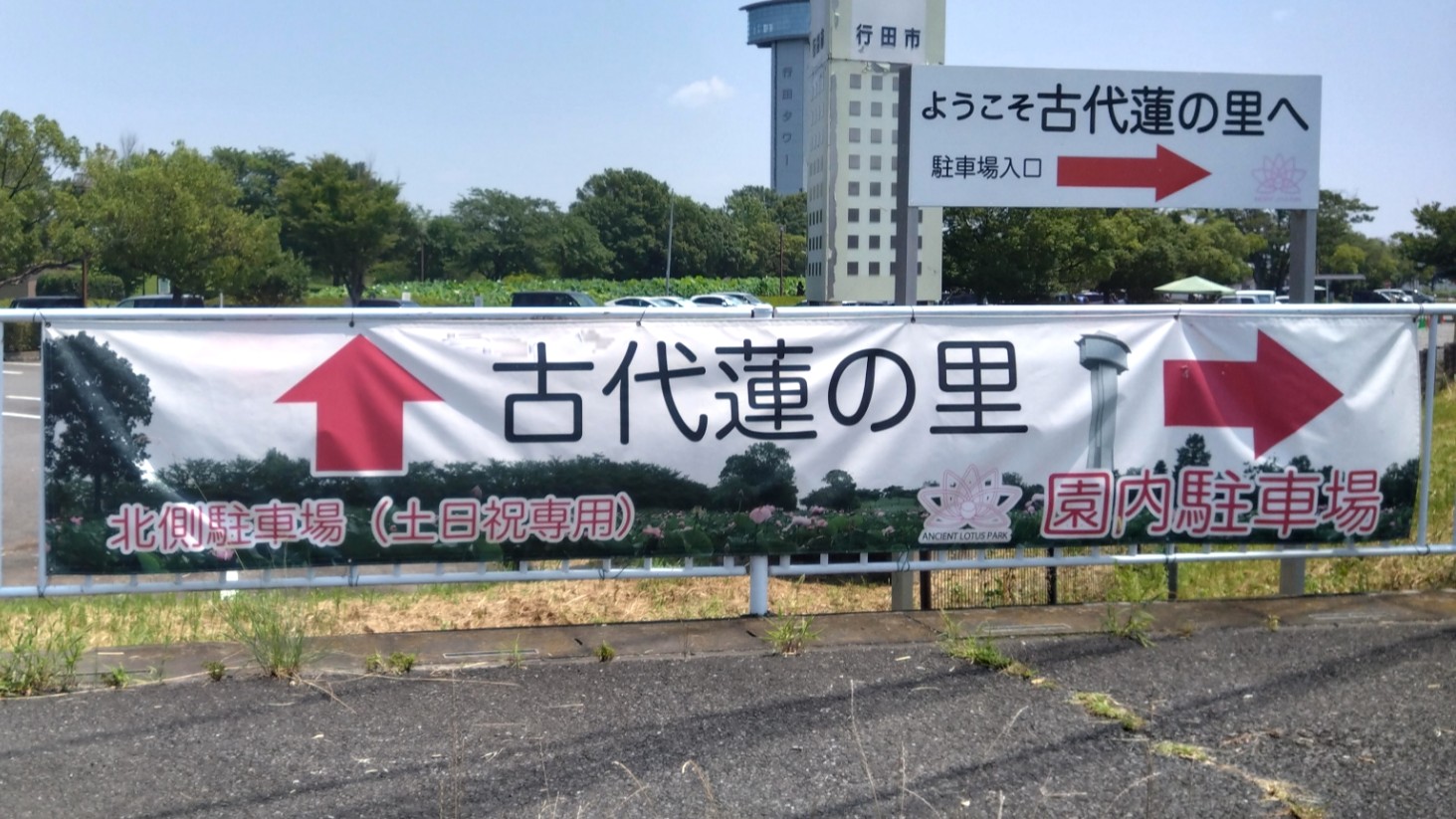 古代蓮の里