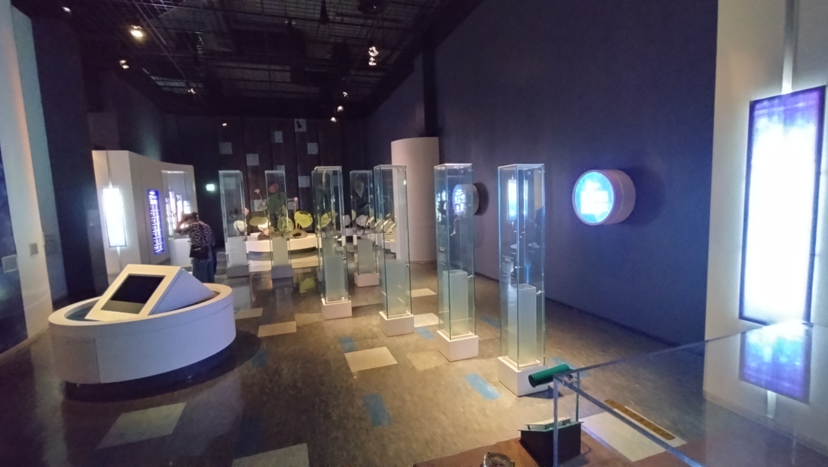 1階の展示室